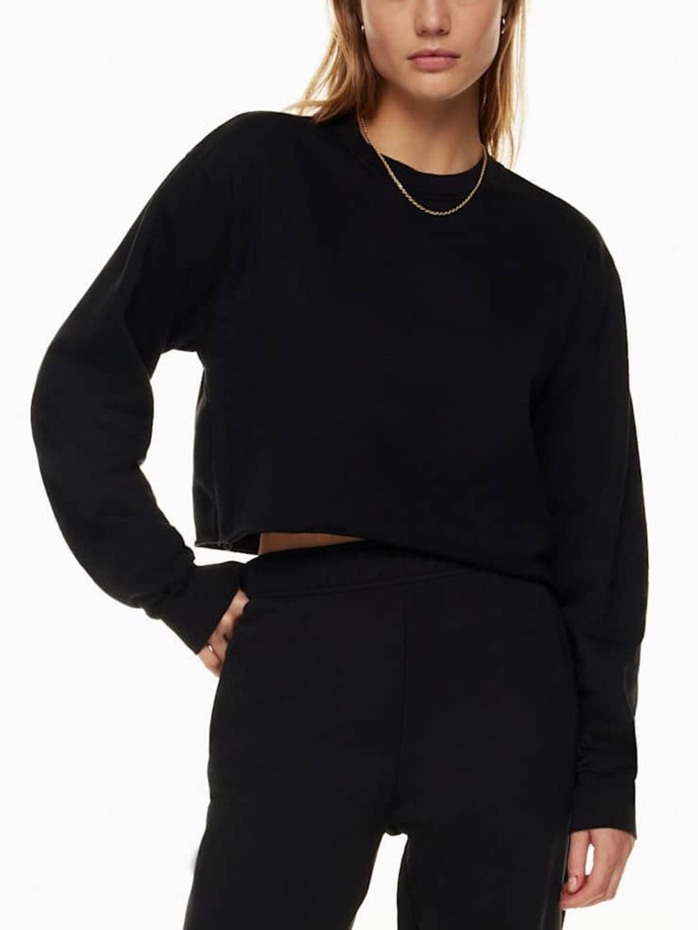Aritzia Black Cropped Crewneck Sweatshirt